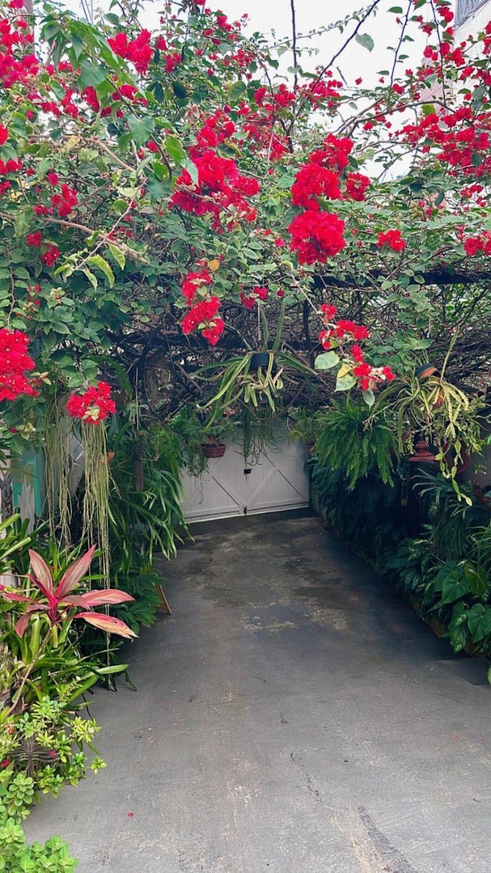 Village Potira - The Hostal *